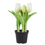 Tulpen Real Touch Topf FLORISTA PVC / Eisendraht / Polyethylen / Foam (Schaumstoff) - Creme