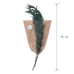 Eukalyptuszweig FLOWER MARKET Pflanzenblatt - Grün