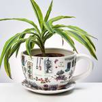 Cache-pot PLANT A CUP JARDIN Dolomite - Multicolore