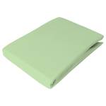 Drap-housse en jersey élastique Coton / Élasthanne - Menthe - 140 - 160 x 200-220 cm