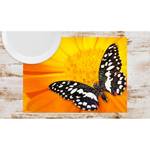Tischset Schmetterling III (12er-Set) Papier - Mehrfarbig