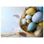 Placemats Eieren Nestje (set van 12) papier - meerdere kleuren