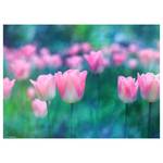 Sets de table Tulipes roses (lot de 12) Papier - Multicolore