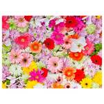 Tovaglietta Mare di fiori (12) Carta - Multicolore