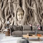 Vlies-fotobehang Buddhas Tree premium vlies - bruin - 100 x 70 cm