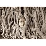 Vlies Fototapete Buddhas Tree Premium Vlies - Braun - 350 x 245 cm