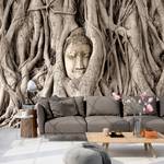 Vlies Fototapete Buddhas Tree Premium Vlies - Braun - 350 x 245 cm