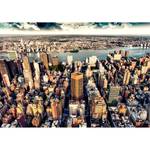 Fotobehang Bird's Eye View of New York premium vlies - meerdere kleuren