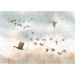 Fotomurale Golden Geese Tessuto non tessuto premium - Multicolore - 150 x 105 cm