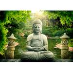 Vlies Fototapete Buddhas Garten Premium Vlies - Grün