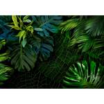 Papier peint intissé Dark Jungle Papier peint en intissé premium - Vert