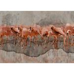 Vlies Fototapete Flamingo Lake Premium Vlies - Pink - 400 x 280 cm