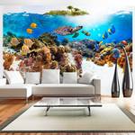 Vlies-fotobehang Riff premium vlies - meerdere kleuren - 150 x 105 cm