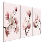 Tableaux déco Spring Magnolias (3 élém.) Toile - Rose