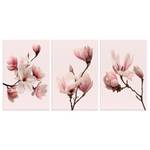 Tableaux déco Spring Magnolias (3 élém.) Toile - Rose