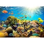 Vlies Fototapete Underwater Land Premium Vlies - Mehrfarbig