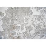 Vlies Fototapete Greek Frescoes Premium Vlies - Grau - 400 x 280 cm