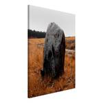 Afbeelding Field Signpost canvas - bruin