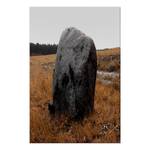 Afbeelding Field Signpost canvas - bruin