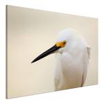 Quadro Snowy Egret Tela - Beige - 90 x 60 cm
