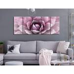 Afbeelding Agave (5-delig) canvas - roze - 200 x 80 cm