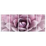 Afbeelding Agave (5-delig) canvas - roze - 225 x 90 cm
