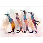 Vlies-fotobehang Penguin Wandering premium vlies - meerdere kleuren - Breedte: 300 cm