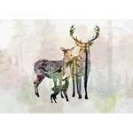 Vlies-fotobehang Forest Family premium vlies - meerdere kleuren - Breedte: 100 cm