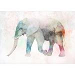 Papier peint intissé Painted Elephant Papier peint en intissé premium - Multicolore - Largeur : 200 cm