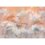 Vlies-fotobehang Sky Hunter premium vlies - oranje - Breedte: 300 cm