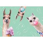 Vlies-fotobehang Crazy Llamas premium vlies - meerdere kleuren - Breedte: 100 cm