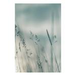 Wandbild Tall Grasses Leinwand - Grau - 40 x 60 cm