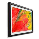Gerahmtes Bild Scarlet Macaw Fichte / Acrylglas