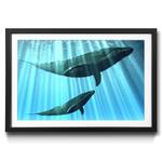 Gerahmtes Bild Whales Fichte / Acrylglas
