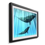 Ingelijste afbeelding Whales sparrenhout/acrylglas