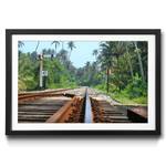 Ingelijste afbeelding Sri Lanka Rails sparrenhout/acrylglas - meerdere kleuren