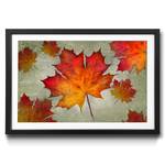 Gerahmtes Bild Falling Leaves Fichte / Acrylglas - Orange / Gelb