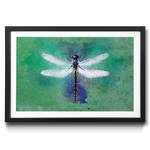 Ingelijste afbeelding Dragon Fly sparrenhout/acrylglas - blauw/groen