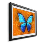 Ingelijste afbeelding Blue Wonder sparrenhout/acrylglas - blauw/oranje