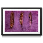 Gerahmtes Bild Feathers and Purple Fichte / Acrylglas - Braun / Lila