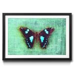 Gerahmtes Bild Gloomy Butterfly Fichte / Acrylglas - Türkis / Braun