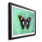 Gerahmtes Bild Gloomy Butterfly Fichte / Acrylglas - Türkis / Braun