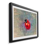 Gerahmtes Bild Ladybug Fichte / Acrylglas - Rot / Türkis
