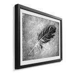 Ingelijste afbeelding Beautiful Feather sparrenhout/acrylglas - zwart/wit