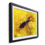 Gerahmtes Bild Stag Beetle