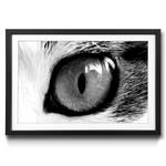 Gerahmtes Bild Cats Eye Green Fichte / Acrylglas - Schwarz / Weiß