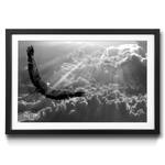 Ingelijste afbeelding Eagle in Flight sparrenhout/acrylglas - zwart/wit