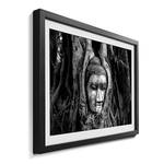 Quadro con cornice Deep Rooted Abete / Vetro acrilico - Nero / Bianco