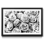 Quadro con cornice Creamy Roses II Abete / Vetro acrilico - Nero / Bianco