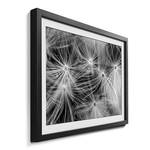 Gerahmtes Bild Dandelion Fichte / Acrylglas - Schwarz / Weiß